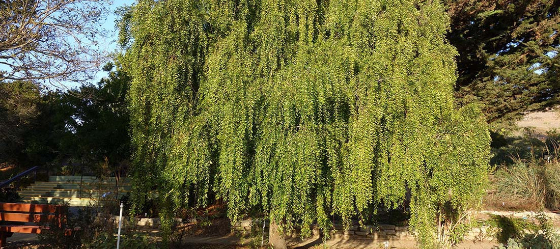 Photo: Environment Canterbury